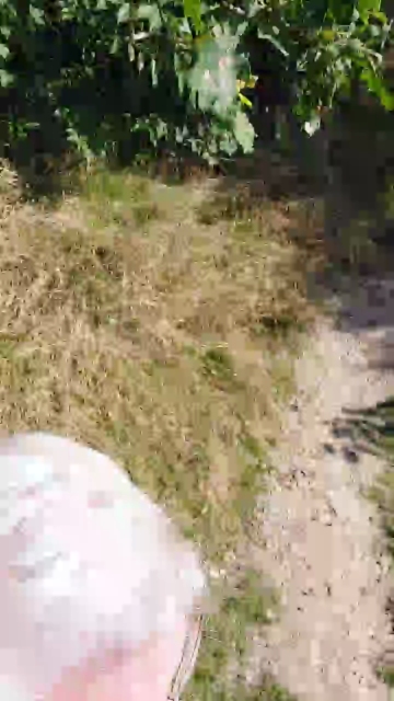 Fischie  06-09-2021 Recorded Video XXX